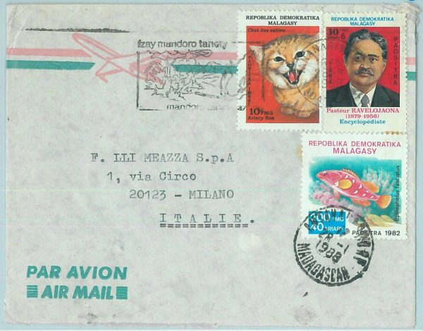 67524 - MADAGASCAR - Postal History - COVER to ITALY  1988 - CATS forest fire