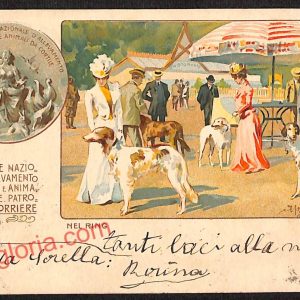 ag9120 - CARTOLINA D'EPOCA - Milano Città - Esposizione D' Allevamento di Cani