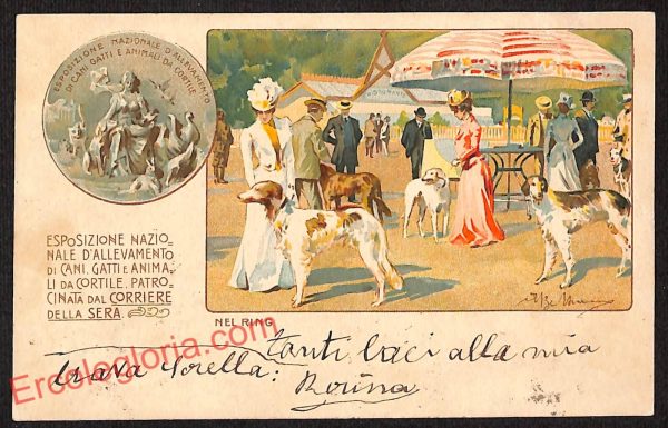 ag9120 - CARTOLINA D'EPOCA - Milano Città - Esposizione D' Allevamento di Cani
