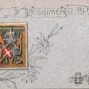 ac6993 - CARTOLINA D'EPOCA - REGGIMENTALI  - Alpini