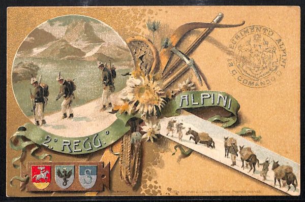 ac6997 - CARTOLINA D'EPOCA - REGGIMENTALI  - Alpini