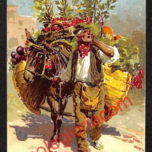 ah3635 - CARTOLINA D'EPOCA - Napoli Città - Venditore di verdura