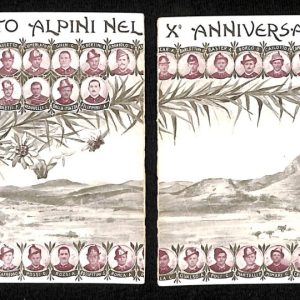 ac7040 - CARTOLINA D'EPOCA - REGGIMENTALI  - Alpini
