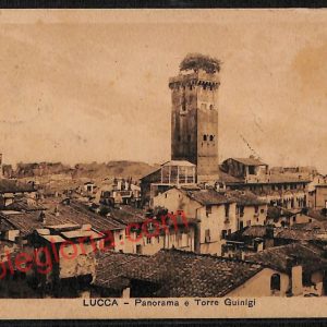ag6227 - CARTOLINA D'EPOCA - Lucca Città - Panorama e Torre Guinigi