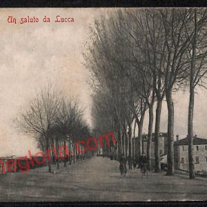 ag6248 - CARTOLINA D'EPOCA - Lucca Città - Cortina S. Jacopo