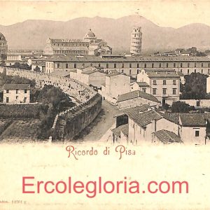 ad0247 - CARTOLINA D'EPOCA - Pisa Città - Panorama