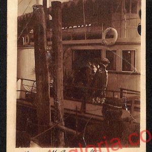 ag5735 - CARTOLINA D'EPOCA - Lago Maggiore - Stresa
