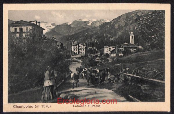 ad9929 - CARTOLINA  D'EPOCA - Aosta Provincia - Champoluc