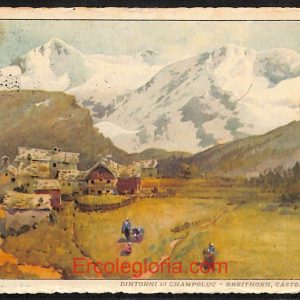 ad9931 - CARTOLINA  D'EPOCA - Aosta Provincia - Champoluc  1918