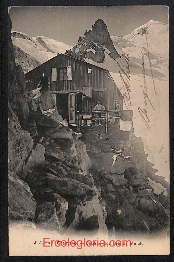 ad9936 - CARTOLINA  D'EPOCA - Aosta Provincia - Chamonix  1904