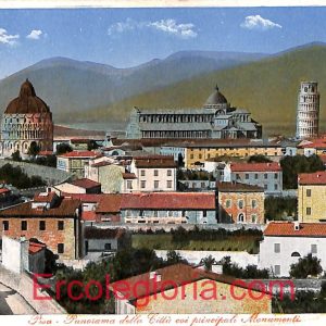 ad0259 - CARTOLINA D'EPOCA - Pisa Città - Panorama della Città