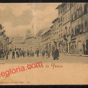 ah8769 - CARTOLINA D'EPOCA - Pistoia Provincia - Pescia