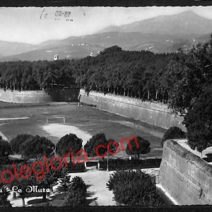 ag6313  - CARTOLINA D'EPOCA - Lucca Città - Le Mura  1958