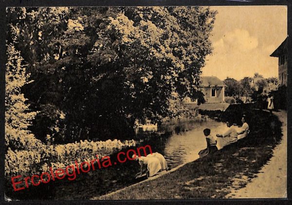 ah8886 - CARTOLINA D'EPOCA - Pordenone Provincia - Zoppola