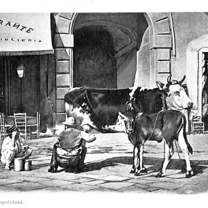 ab8770 - CARTOLINA  D'EPOCA - Napoli - COSTUMI  NAPOLETANI