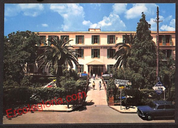 ah3853 - CARTOLINA D'EPOCA - Napoli  Provincia - Sorrento
