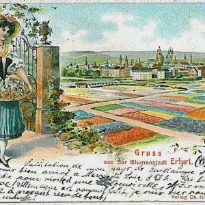 33977 - Ansichtskarten VINTAGE  POSTCARD: GERMANY Deutschland - Erfurt GRUSS AUS