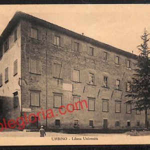 ah6553 - CARTOLINE  D'EPOCA - Urbino Città - Libera Università