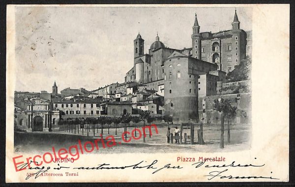 ah6554 - CARTOLINE  D'EPOCA - Urbino Città - Piazza Mercatale