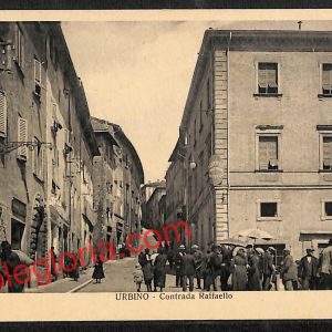 ah6556 - CARTOLINE  D'EPOCA - Urbino Città - Contrada Raffaello