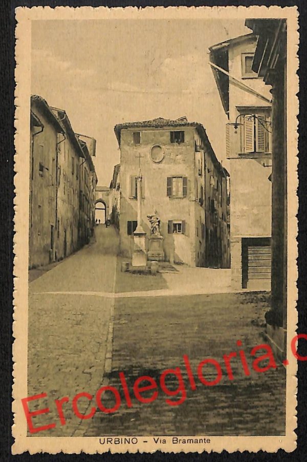 ah6558 - CARTOLINE  D'EPOCA - Urbino Città - Via Bramante