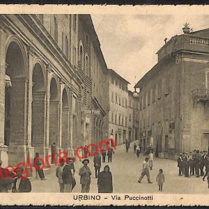 ah6561 - CARTOLINE  D'EPOCA - Urbino Città - Via Puccinotti