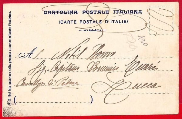 P0759 - CARTOLINA D'EPOCA - SOC. CINOFILA Esposizione Canina FIRENZE  1903 - immagine 2
