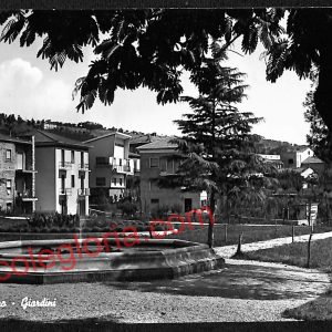 ag7622 - CARTOLINA D'EPOCA - Macerata Provincia - Tolentino
