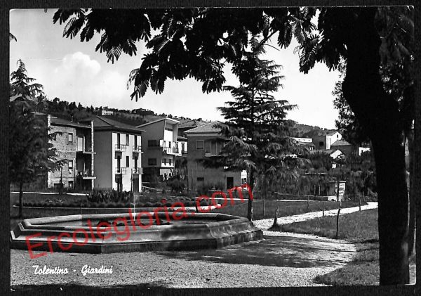ag7622 - CARTOLINA D'EPOCA - Macerata Provincia - Tolentino