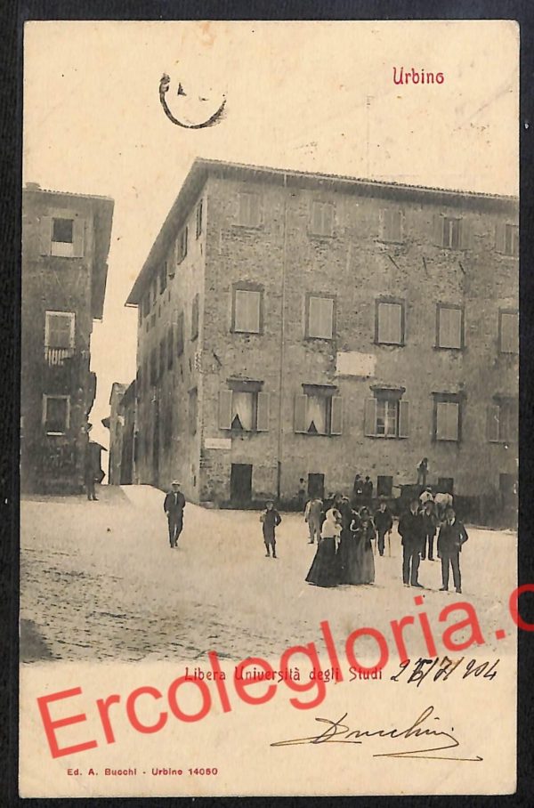 ah6566 - CARTOLINE  D'EPOCA - Urbino Città - Libera Università degli Studi