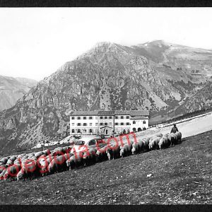 ag7633 - CARTOLINA D'EPOCA - Macerata Provincia - Ussita