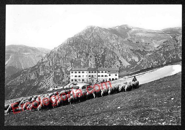ag7633 - CARTOLINA D'EPOCA - Macerata Provincia - Ussita