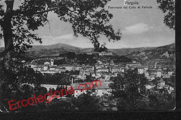 ah6576 - CARTOLINE  D'EPOCA - Pesaro e Urbino Provincia - Pergola