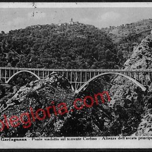 ag6501 - CARTOLINA D'EPOCA - Lucca Provincia - Castelnuovo di Garfagnana