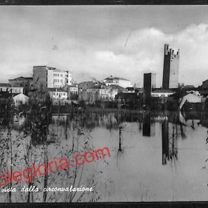 ai1091 - CARTOLINA D'EPOCA - Rovigo Città - Vista della Circonvallazione
