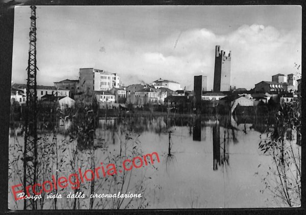 ai1091 - CARTOLINA D'EPOCA - Rovigo Città - Vista della Circonvallazione