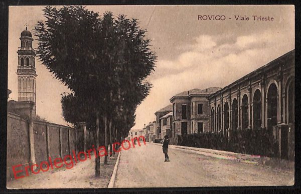 ai1110 - CARTOLINA D'EPOCA - Rovigo Città - Viale Trieste