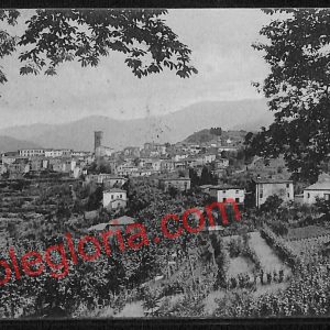 ag6512 - CARTOLINA D'EPOCA - Lucca Provincia - Coreglia Antelminelli