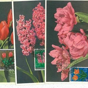 12305 - LUXEMBOURG - POSTAL HISTORY - set of 3 MAXIMUM CARD 1955 Flowers