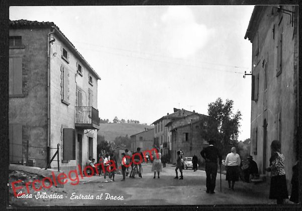ah5478 - CARTOLINA  D'EPOCA - Parma Città - Casa Selvatica