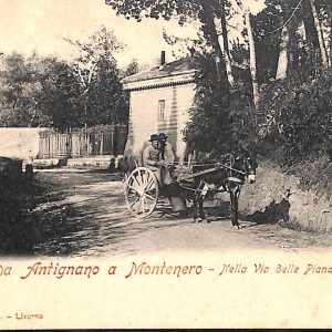 ac8015 - CARTOLINA D'EPOCA - Livorno Provincia - Montenero