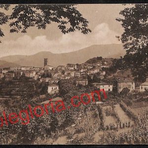ag6515 - CARTOLINA D'EPOCA - Lucca Provincia - Coreglia Antelminelli