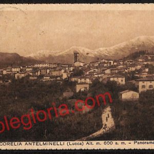 ag6516 - CARTOLINA D'EPOCA - Lucca Provincia - Coreglia Antelminelli