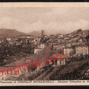 ag6519 - CARTOLINA D'EPOCA - Lucca Provincia - Coreglia Antelminelli