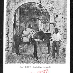ag4975 - CARTOLINA D'EPOCA - Imperia Provincia - Sanremo