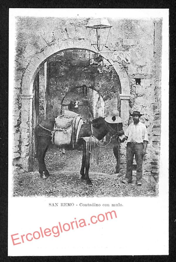 ag4975 - CARTOLINA D'EPOCA - Imperia Provincia - Sanremo
