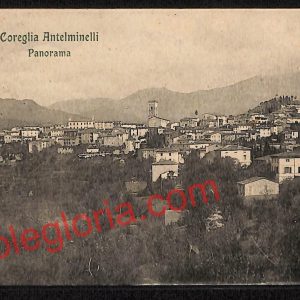 ag6521 - CARTOLINA D'EPOCA - Lucca Provincia - Coreglia Antelminelli
