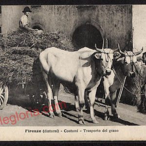 ae7334 - CARTOLINA D'EPOCA - Firenze Città - Costumi - Trasporto del grano