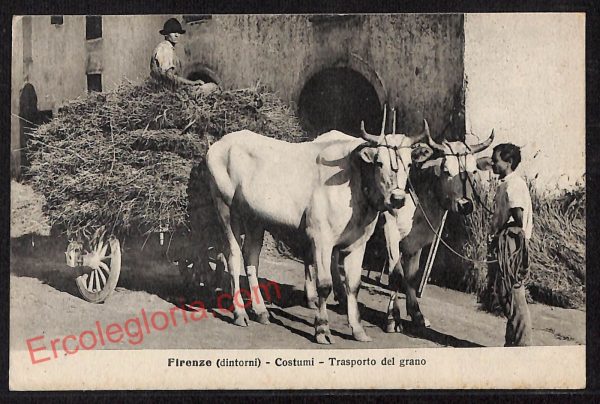 ae7334 - CARTOLINA D'EPOCA - Firenze Città - Costumi - Trasporto del grano