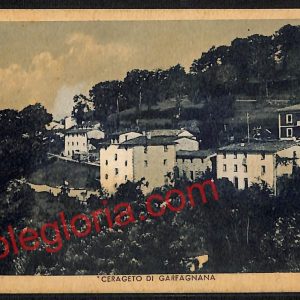 ag6531 - CARTOLINA D'EPOCA - Lucca Provincia - Castiglione di Garfagnana